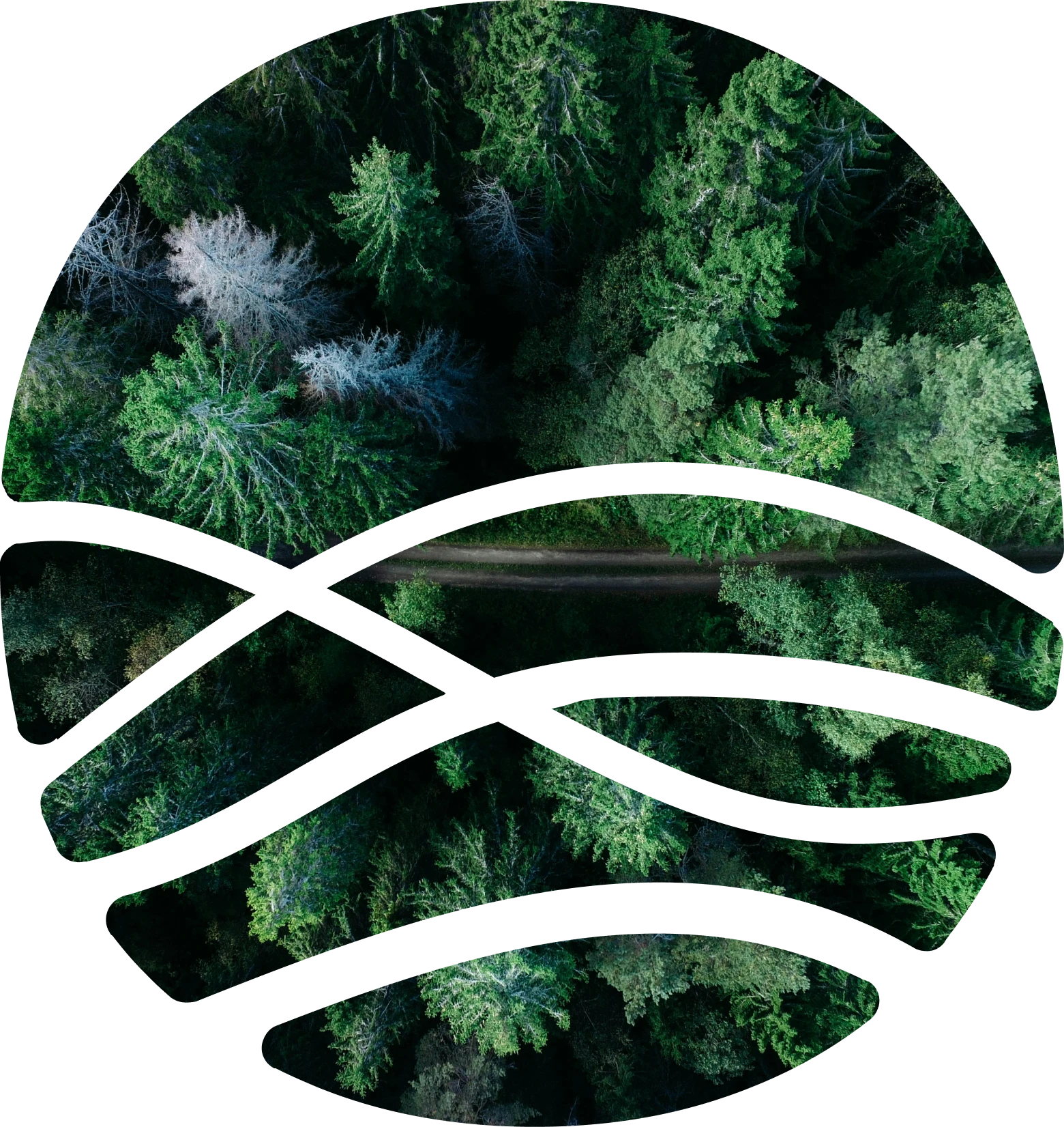 Décarbonez vos activités